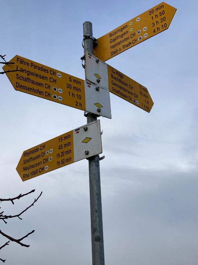 Buesingen Am Hochrhein Radfahren, Wandern, Natur Geniessen Buitenkant foto