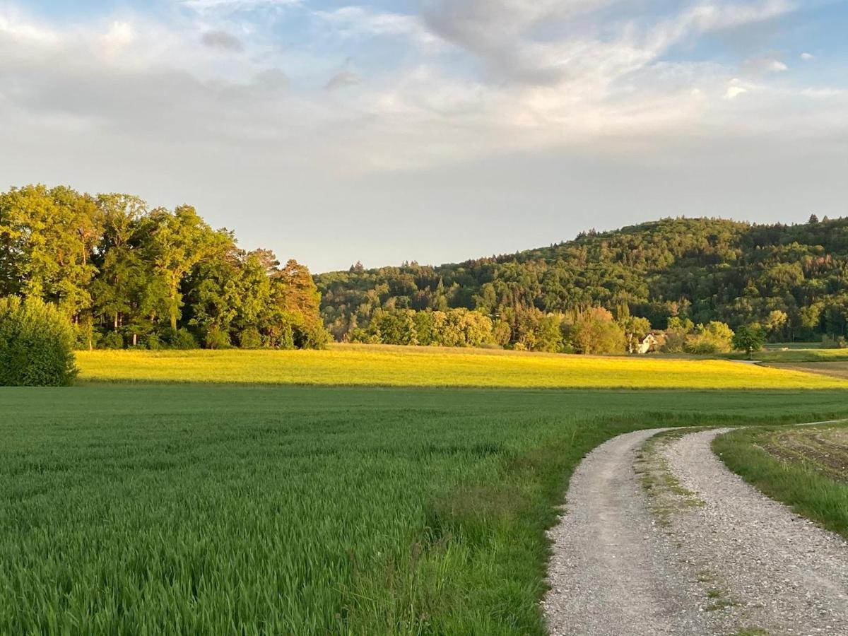 Buesingen Am Hochrhein Radfahren, Wandern, Natur Geniessen Buitenkant foto