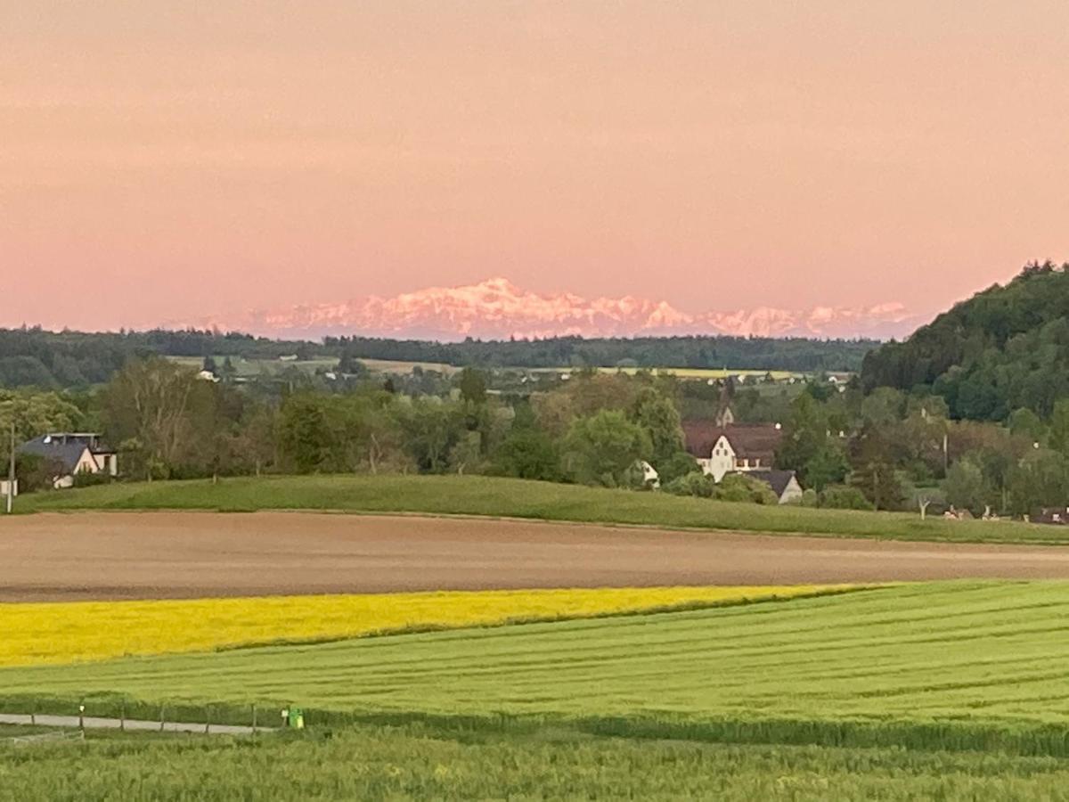 Buesingen Am Hochrhein Radfahren, Wandern, Natur Geniessen Buitenkant foto