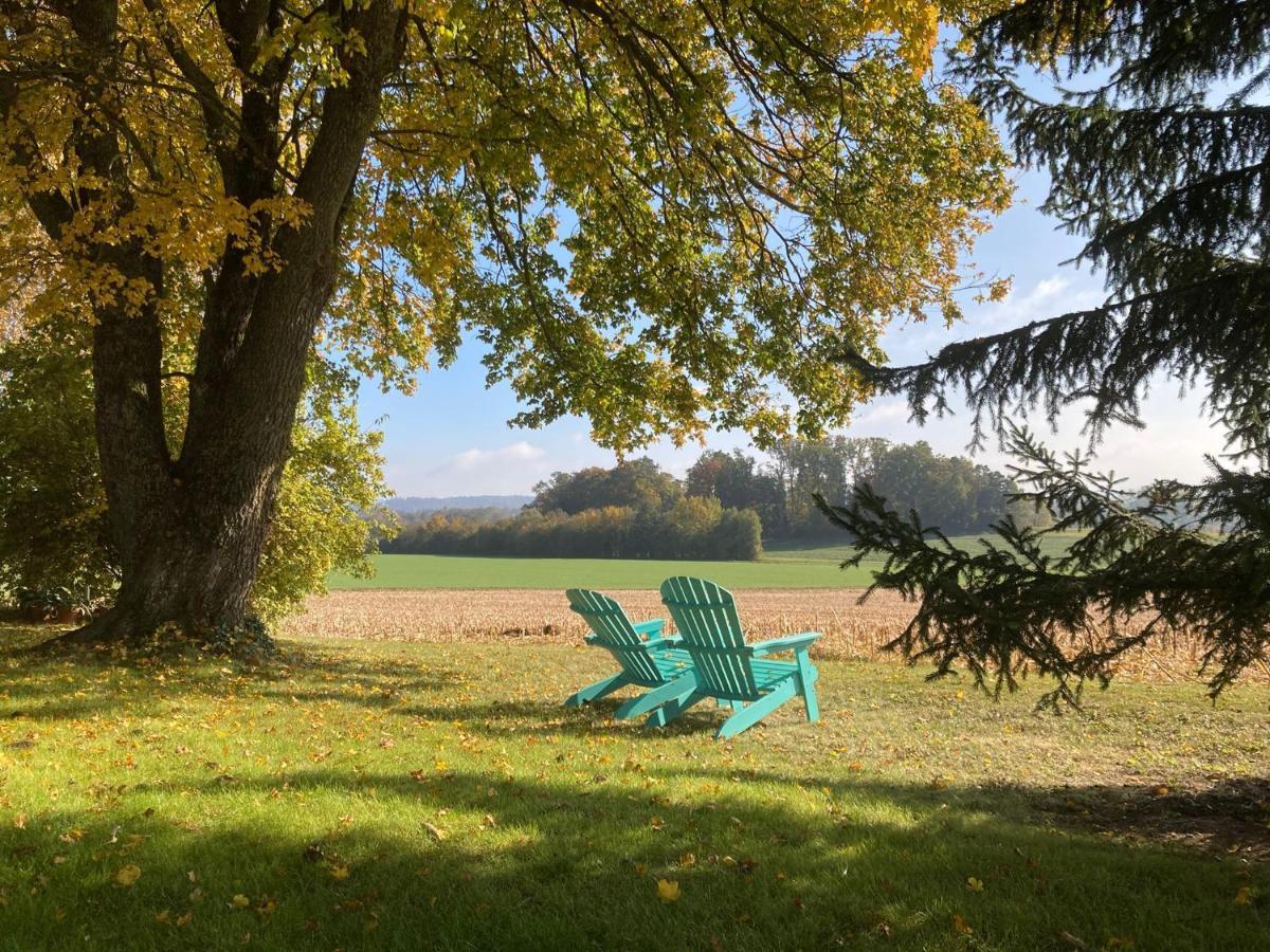 Buesingen Am Hochrhein Radfahren, Wandern, Natur Geniessen Buitenkant foto